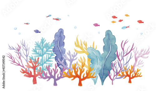 珊瑚と海藻と熱帯魚の水彩イラスト