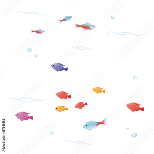 熱帯魚の水彩イラスト