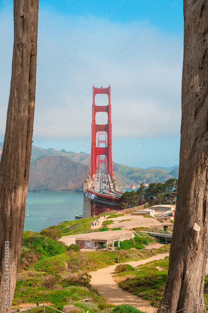 Golden Gate Bridge photographed between two trees on a sunny summer day, a view of the sights in San Francisco