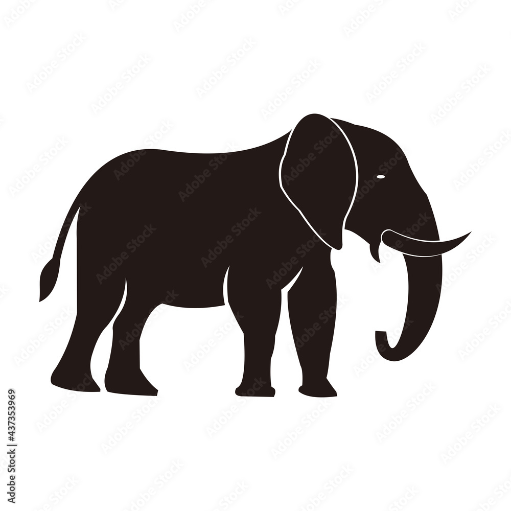 Obraz premium Elephant icon vector illustration design