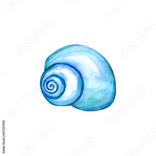 Watercolor illustration of blue seashell 