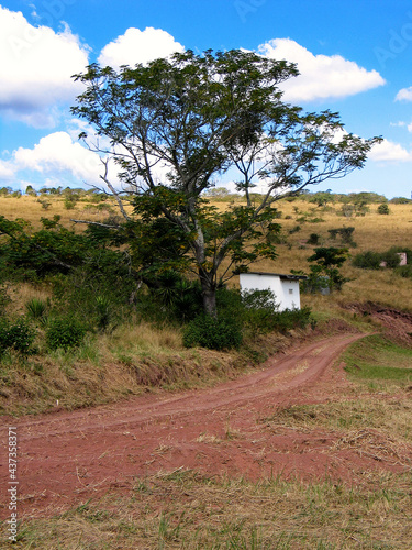 Tree and hills in dry season, KwaZulu-Natal, South Africa photo