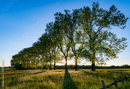 Schwerte Ruhr Ergste Deutschland Ufer Sonnenuntergang Abend Licht Baumreihe Weiden Kühe Zaun Fluss Ruhrgebiet Hengsteysee Zaun Wiesen Weiden Spaziergang Jogging Ruhrtalradweg Idyll Panorama Horizont  photo