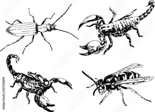 vector drawings sketches different insects bugs Scorpions spiders drawn in ink by hand , objects with no background	
