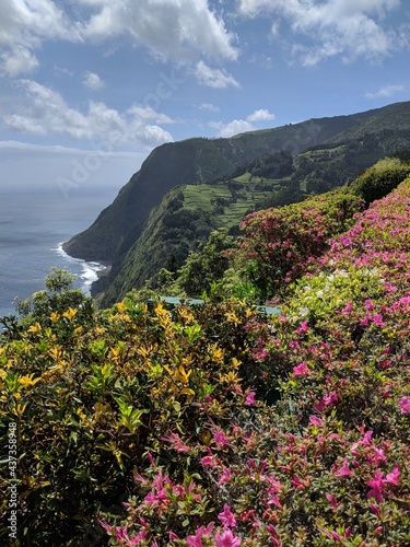 View of the ocean and flowers on the Azores