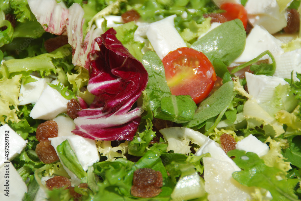 ENSALADA DE HIERBAS Y QUESO FRESCO ENSALADA DE HIERBAS Y QUESO FRESCO
