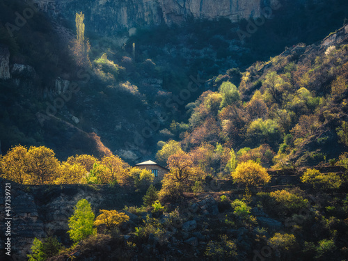 Morning mountain landscape with the first rays of the sun. A lonely cottage in the lush greenery of the mountains. Guest house. The concept of travel.