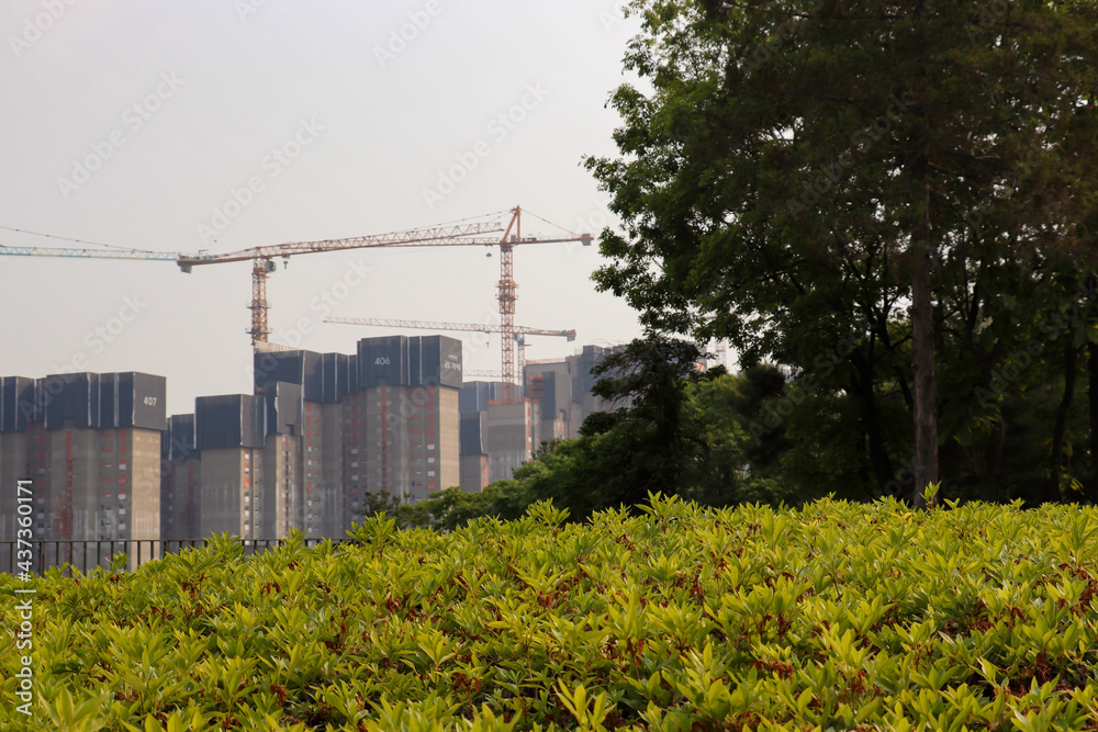 Obraz premium construction and nature