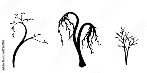 Three kinds of silhouette trees graphic design on white