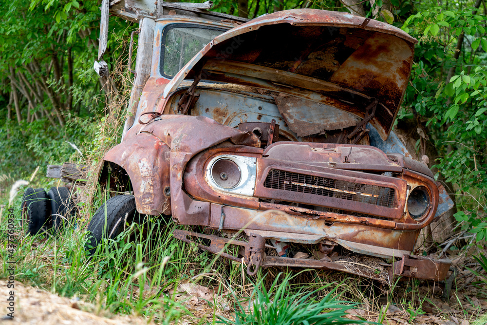 Old rusty abandoned car in the woods after war.Abandoned vehicle dumped in countryside field. tree is growing out of the hood of an old classic car in a field. Old rusty abandoned car in the woods after war.Abandoned vehicle dumped in countryside field. tree is growing out of the hood of an old classic car in a field.