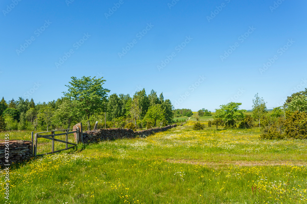 Stone wall with a gate at a flowering meadow in summer