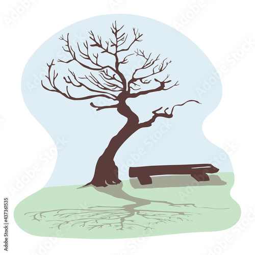 A dry old tree and a beautiful shade. Trunk and branches without leaves against the blue sky. Next to it is a wooden bench. The concept of loneliness and emptiness. Silhouette of a tree. Vector