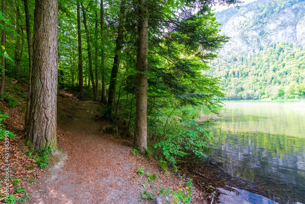Fototapeta premium Wanderweg am Reintalersee bei Kramsach