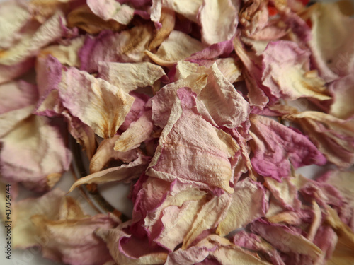dry rose petals