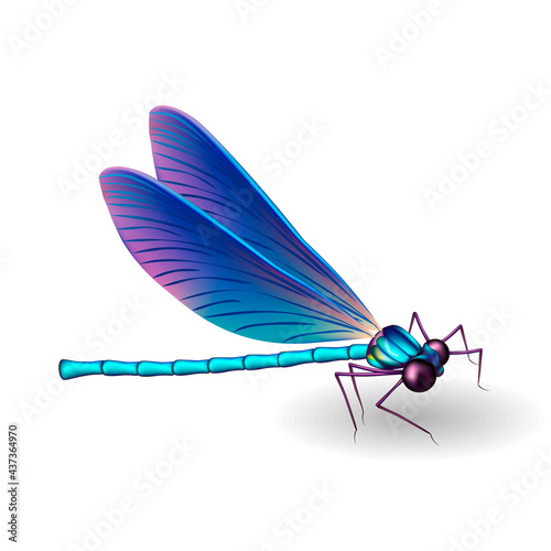 Dragonfly. 3D insect. Vector illustration isolated on white background.