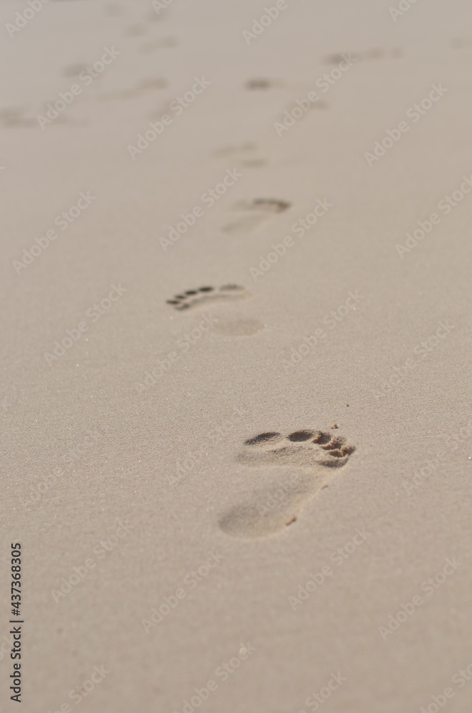 foot steeps in the surface of sand beach foot steeps in the surface of sand beach