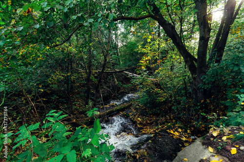 Waterfall in the forest in summer