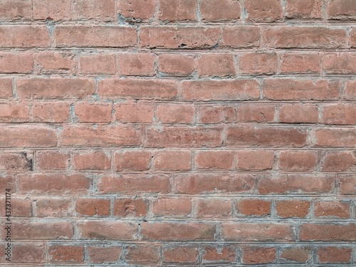 The background is an old brick wall. The wall is made of red ceramic bricks. 