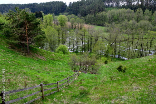A view from the top of a tall hill covered with srubs, flowers, herbs and trees with a small wooden dence nearby and a swamp or lake at the bottom covered by a dense forest or moor seen in Poland