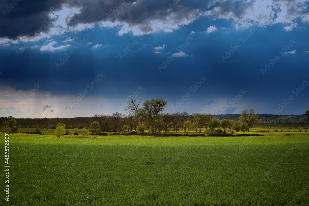 Brandenburger Landschaft