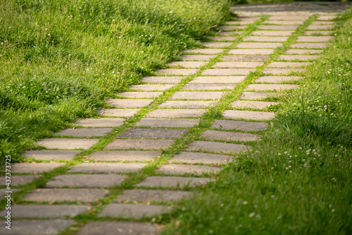 concrete walkway in the park, fresh green grass