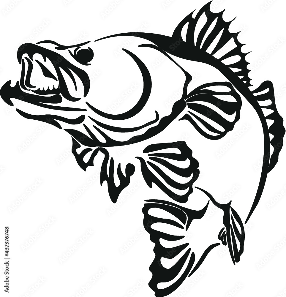 illustration of a fish illustration of a fish