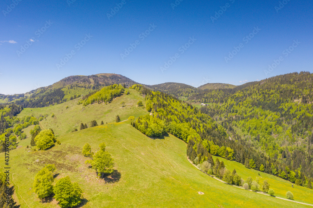 Belchen im Südschwarzwald