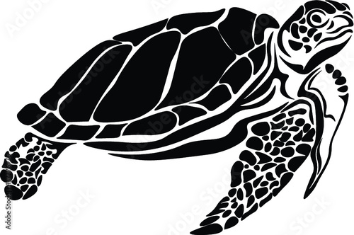 turtle full body vector