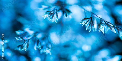 little blue leaves in ultraviolet light on a dark background