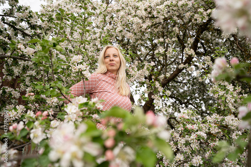 Blonde woman standing and posing in apple blossoms, pink color