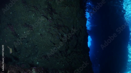 Wallpaper Mural cave diving underwater for scuba divers to explore caves and having fun ocean scenery sun beams and rays background Torontodigital.ca