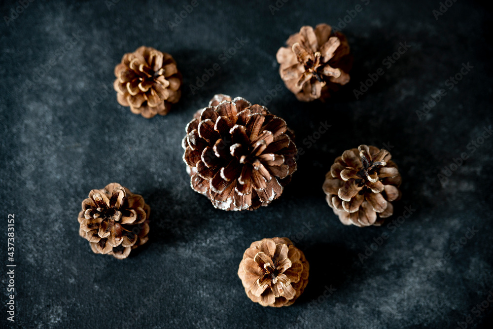 close up of pine cones Christmas background low key studio 