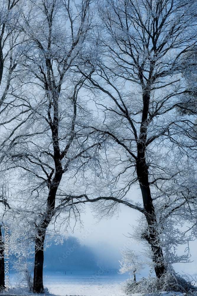Landschaft Landschaft
