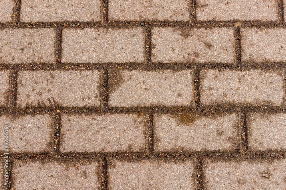 Fototapeta premium Wet brick wall. Damp concrete square block walkway. Orange, brown, grey surfacing pavement tiles at rainy day. Wet brick sidewalk.