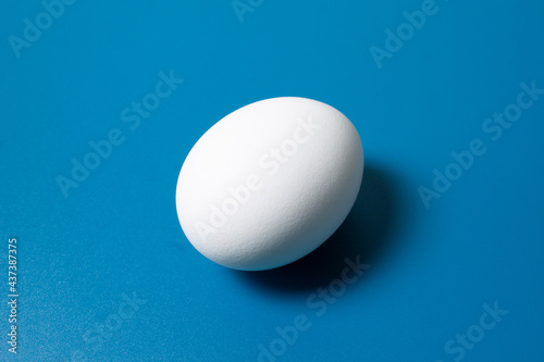 White egg on blue background