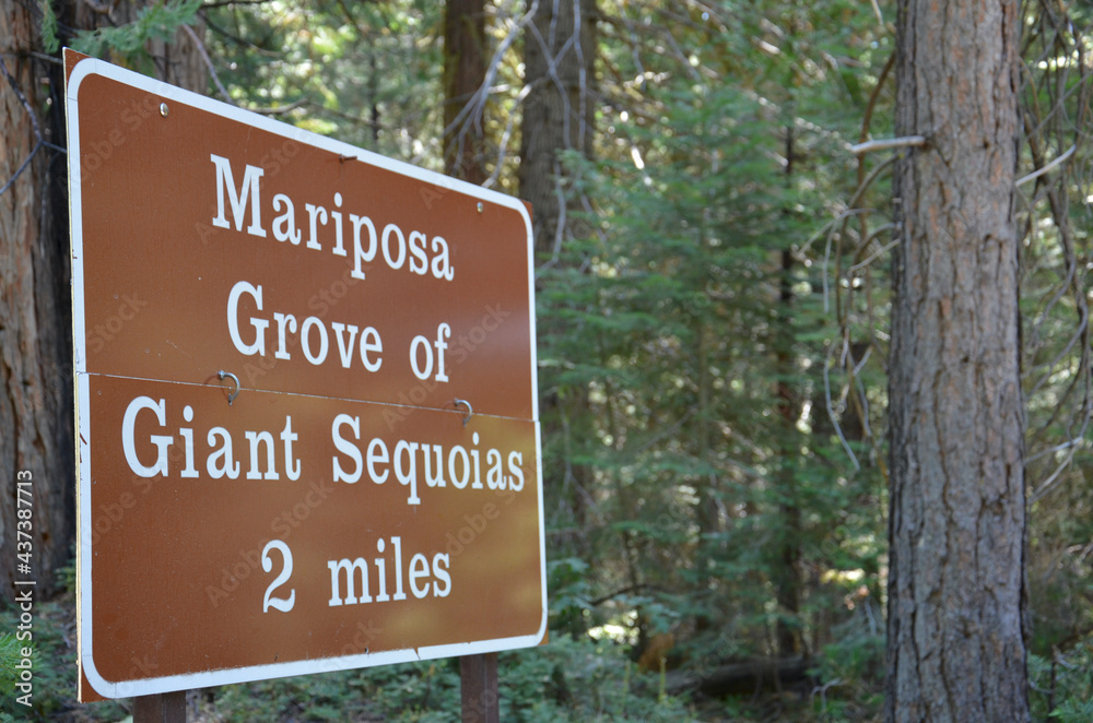 Mariposa Grove of Giant Sequoias sign Mariposa Grove of Giant Sequoias sign