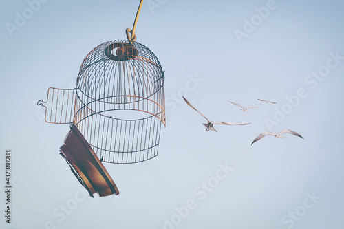 Fotografia, Obraz Birds fly out from open cage
