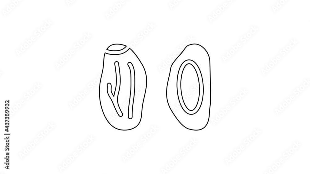 Black line Date fruit icon isolated on white background. 4K Video motion graphic animation Black line Date fruit icon isolated on white background. 4K Video motion graphic animation