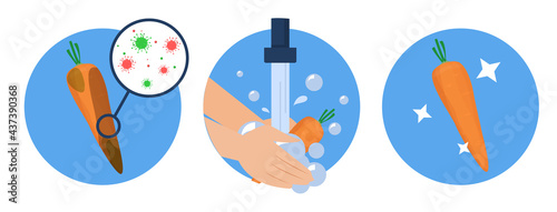 Washing carrot concept vector isolated. Dirty vegetable full of bacteria before and clean product after washing in the water. Hands wash veggie with soap.