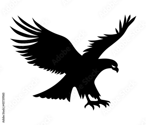 Eagle attacks