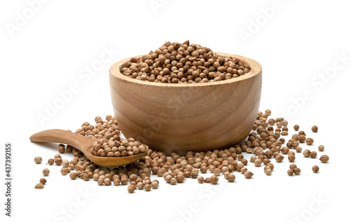 dried coriander seeds in wooden spoon and bowl isolated on white background