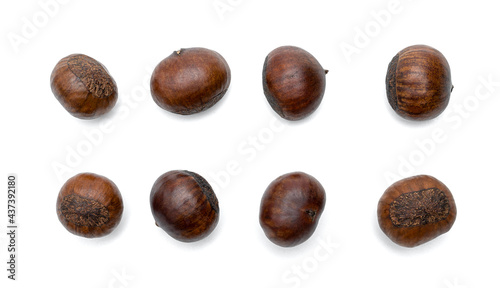 Wallpaper Mural roasted chestnut isolated on white background Torontodigital.ca