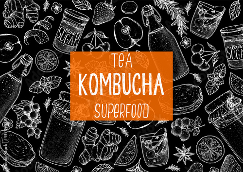 Kombucha tea and ingredients for kombucha sketch. Hand drawn vector illustration. Kombucha drink. Tea mushroom, tea fungus, or Manchurian mushroom.