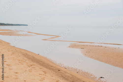 Fototapeta Naklejka Na Ścianę i Meble -  Sandy beach of  Baltic sea in overcast spring morning

