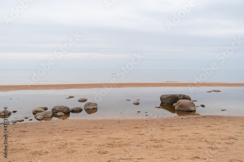 Fototapeta Naklejka Na Ścianę i Meble -  Sandy beach of  Baltic sea covered with big stones on cloudy spring morning. Two birds in flight over the horizon