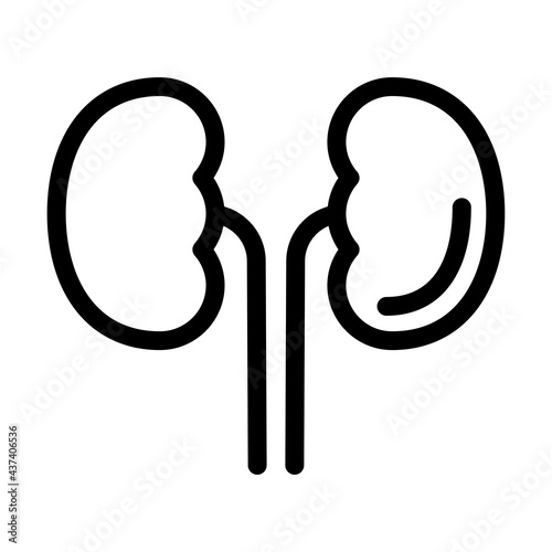 Kidney Icon Vector Art 腎臓のアイコン