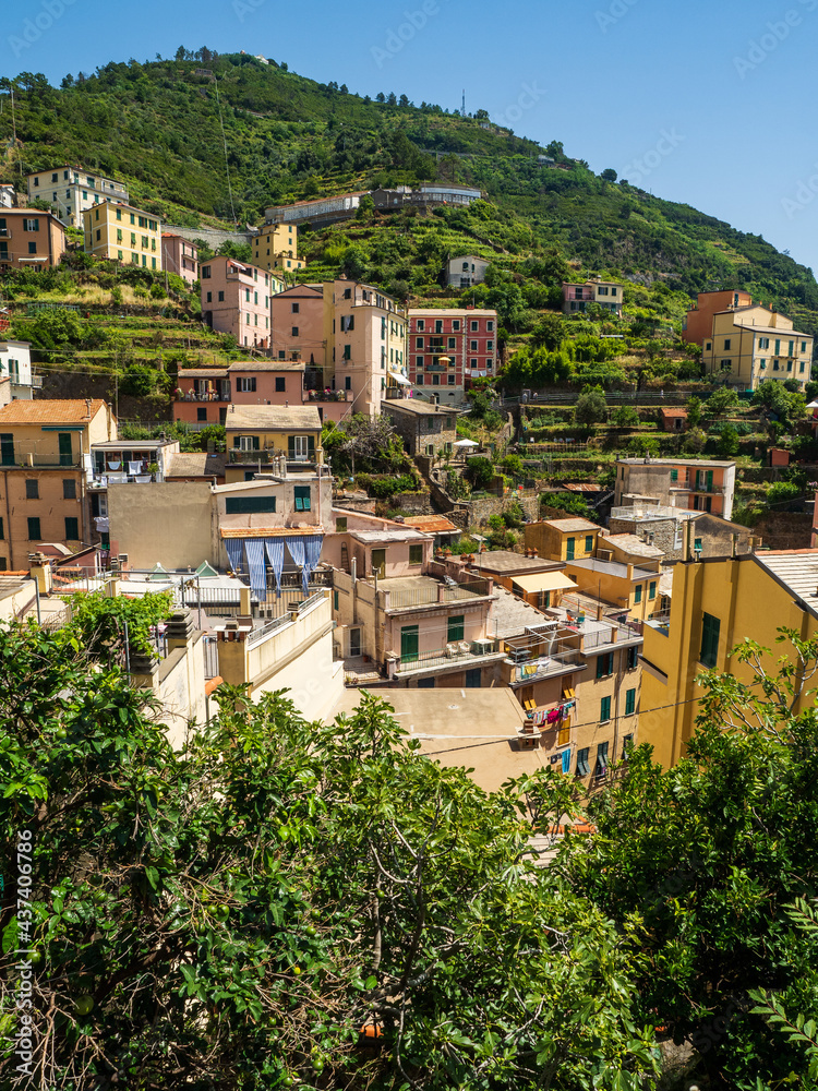 Old city with roof and purple flower in Cinque Terre National Park in Italy on city hill.