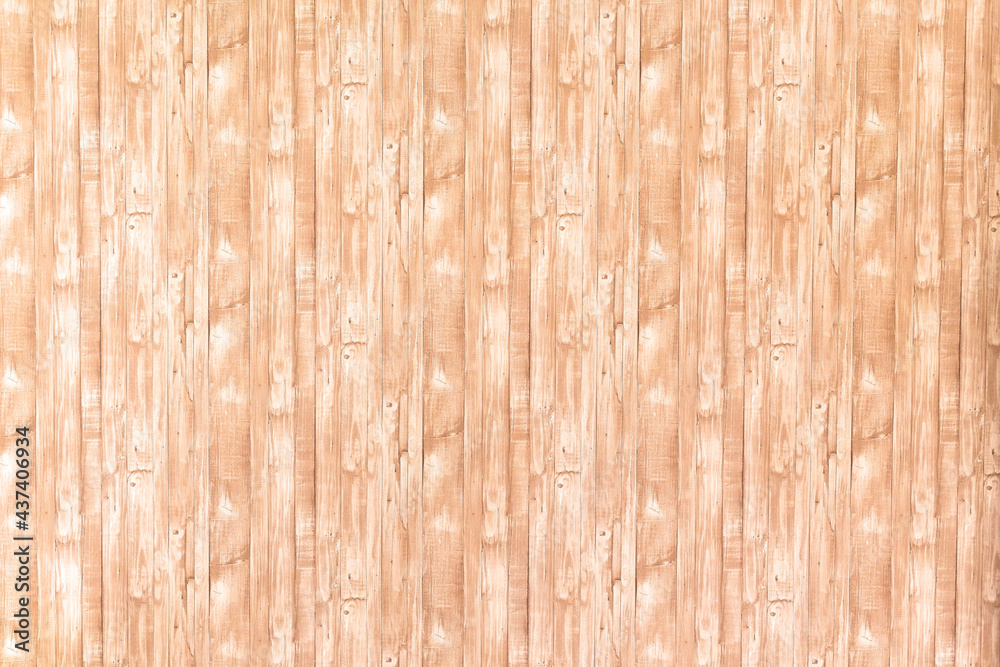 Bamboo pattern background with free space. Beautiful painted Surface design banners. Bamboo pattern background with free space. Beautiful painted Surface design banners.