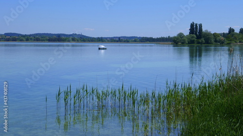 Uferlandschaft mit Schilf und kleinem Boot am Bodensee