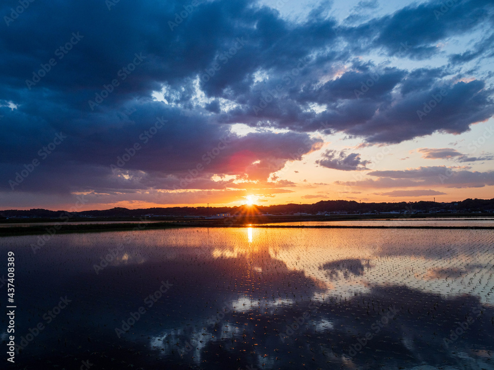 Naklejka premium sunset over the lake